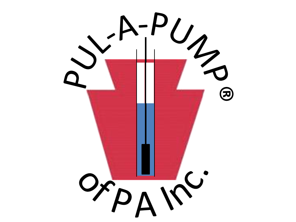 PULAPUMP Logo